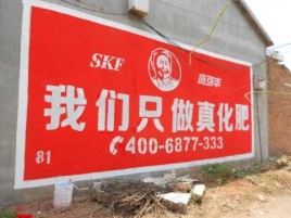  蒙山刷墙广告”蕴含了时代命题
