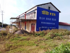  蒙山必须知道的墙体广告形势