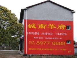  蒙山百分之90的人都不了解的农村墙体广告
