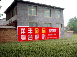 蒙山如何让墙体广告展现最大化效果