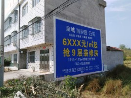  蒙山墙体广告质量分析