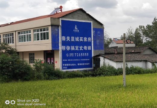  蒙山决定墙体广告价格的因素有哪些？