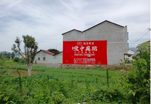  蒙山做墙体广告的意义