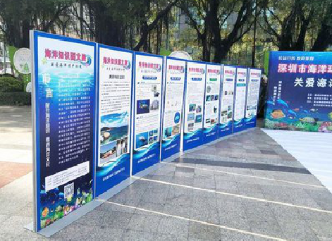  蒙山KT板的种类和知识。